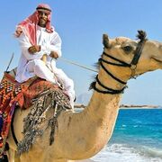 kd0328734@gmail.com