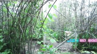 Outdoors three-way with Macy Nihongo and Fernie Thai