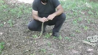 t. public part 9
