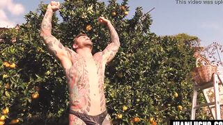 ORANGE JUICE