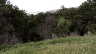outdoors brown hair women masturbation