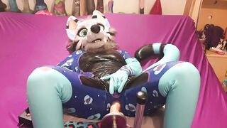snep gets pounded