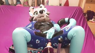 snep gets pounded