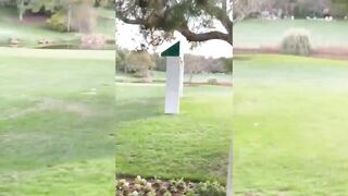 Rich white sluts shows me her daddys golf course so I performance her my ebony penis! (Point Of View)