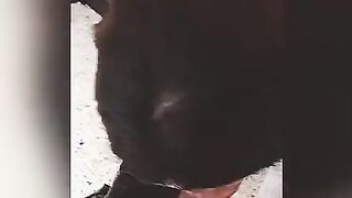 How to Fucked your Mother inside law and Her Step Daughter at the SAME TIME! sexy Mexican mom Blows Penis for Cash! Amateurs 3Some #1 (Subtitled)