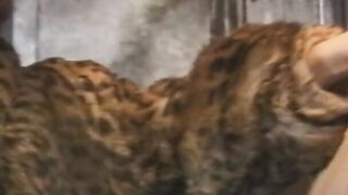 Submissive sub of awesome lover inside leopard fur