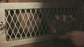 Tied man is subdued with strange cock remedy by 2 chicks
