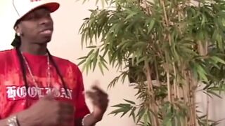 EBONY fucking DREAMERS!!! - VOL. #01