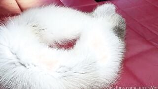 Natural hot point of view Oral Sex Into Fur - Lovita Fate
