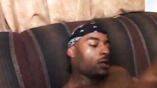 BLACK Nasty PUSSIES!!! - vol. #24