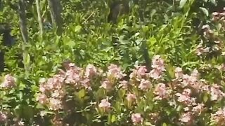 Anal University - (ACID RAIN Production) - Vol. #04