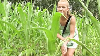 Open Corn Field Dyke Fantasy Action