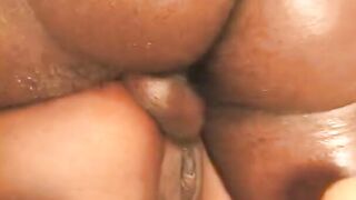 Wild Women are getting their assholes drilled by big cocks