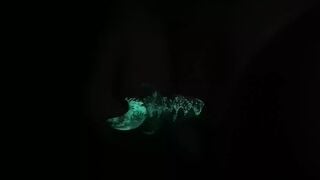 Using my glow inside the dark sex toy