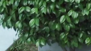 Dark Hair beach girlfriend blows, ride and gets drilled by bro