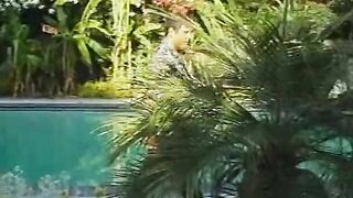 Dark Hair beach girlfriend blows, ride and gets drilled by bro