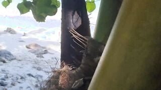 Sex On The Beach - Amateur Nudist Voyeur