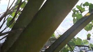 Sex On The Beach - Amateur Nudist Voyeur