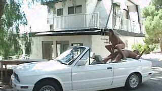 African Passion XXX!!! - Vol. #05