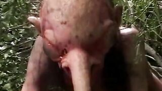 ART OF SEX - THE CLASSIC EXPERIENCE XXX!!! - VOL. #09