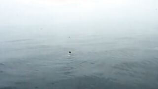 Black gets twat bent over and banged! rough by white dick public