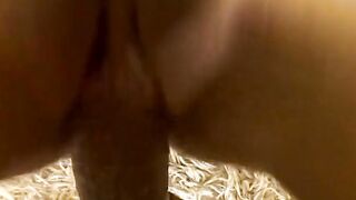Beauty hot gets boned rough after sucking off freaky stud long penis
