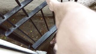 Outdoors anal after geting caught blowing dick inside bathroom! (Part three)