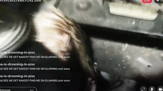 PERVERSE FAMILY LIVE - Anal Stretching With Humongous Toy