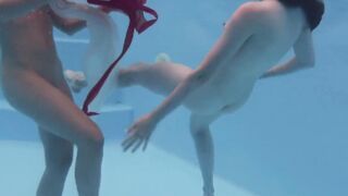 Marfa touches Emerald Ocean Cutie inside the pool
