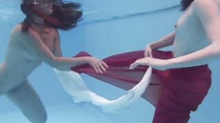 Marfa touches Emerald Ocean Cutie inside the pool