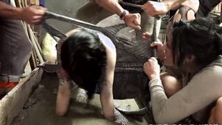 PERVERSE FAMILY - Dominant Surprise
