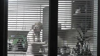Peeping. Voyeur. Neighbors pervert voyeur inside evening on street looks out window as nude beauty neighbors inside kitchen prepares dinner for her hubby. Nude into outdoor. Nude at home. Family. Public