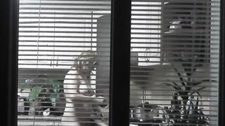 Peeping. Voyeur. Neighbors pervert voyeur inside evening on street looks out window as nude beauty neighbors inside kitchen prepares dinner for her hubby. Nude into outdoor. Nude at home. Family. Public
