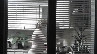 Peeping. Voyeur. Neighbors pervert voyeur inside evening on street looks out window as nude beauty neighbors inside kitchen prepares dinner for her hubby. Nude into outdoor. Nude at home. Family. Public