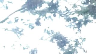 Nature Gf
