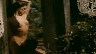 Nasty Stallions!!! - Vol. #05