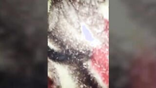 punjabi Bhabhi fucking with husband friend