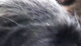 Lovers of gorgeous coloured lonely chicks are getting 3 ebony cocks near the pool