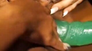 Nice adorable mulatto floozes are having fun sex toys instead of working