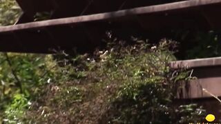 Sex by the waters Bae dancing tease