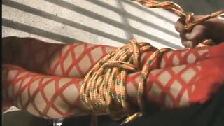 Nice Desire XXX!!! - Vol. #05