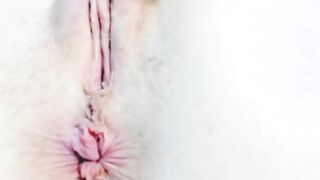 close-up to open wide holes beauty