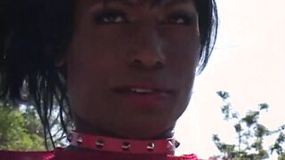 HEATWAVES presents: SOAK EBONY DREAMS!!! - Chapter #03