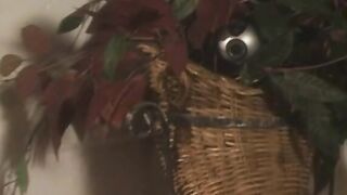 Vampish dark haired sucks lovers of cocks and dig it inside her soak hole
