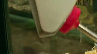 Young boy eats a good milf with is huge dick huge titted...