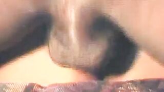 African babe thot hardly pounded