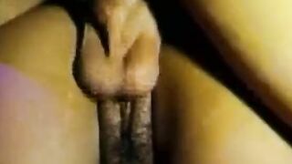Anal Cutie bitch takes the dick into the booty