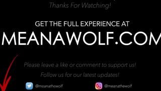 Quite the Catch - Meana Wolf