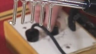 Bae sexy dig as a long pole penetrates her soak pussy