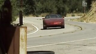 Classic dark hair with long boobies blows and fucks dudes by the vehicle